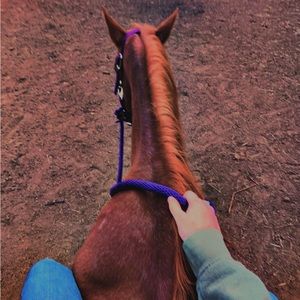 Meet your Posher, Charity